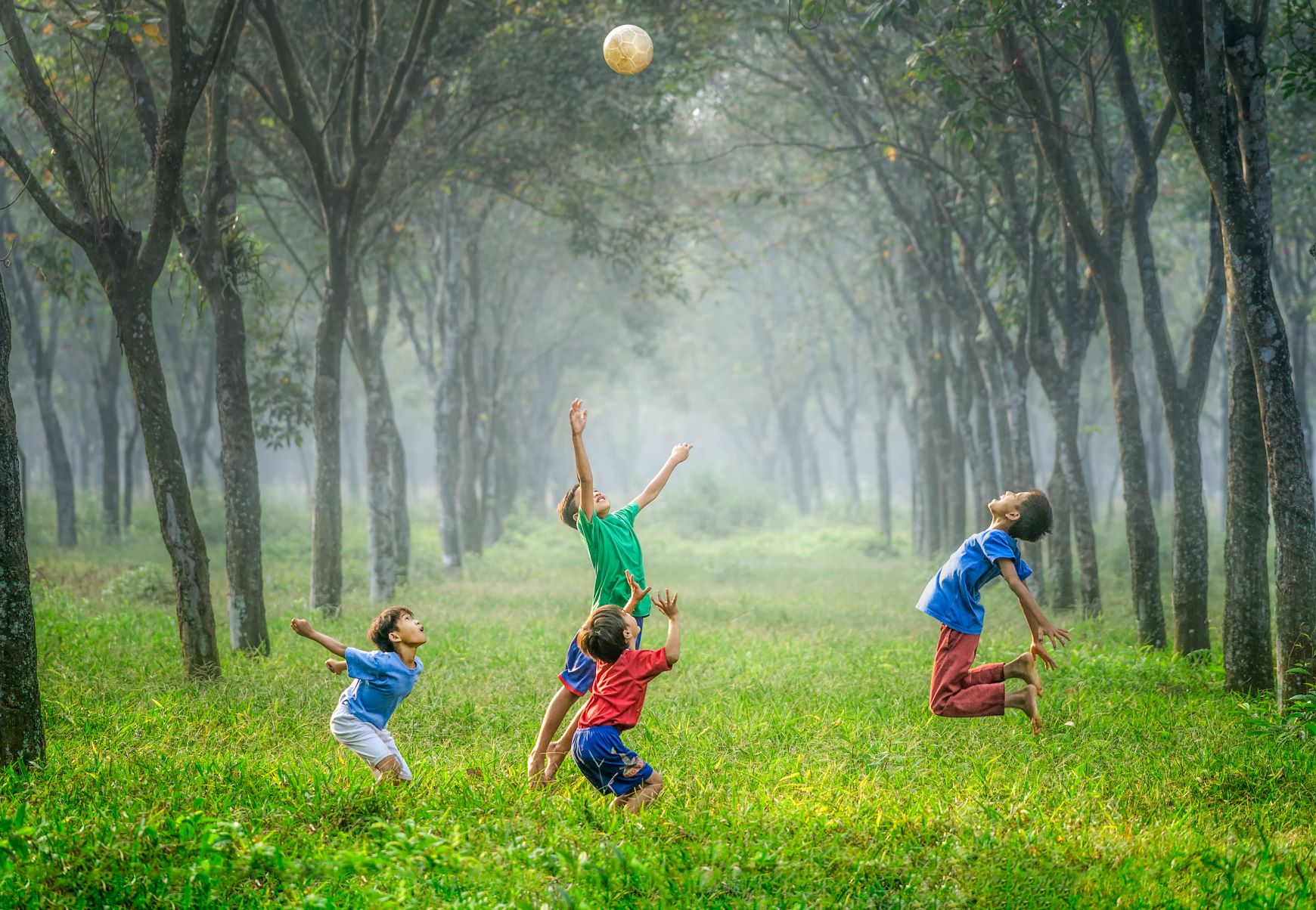 kinderen in bos